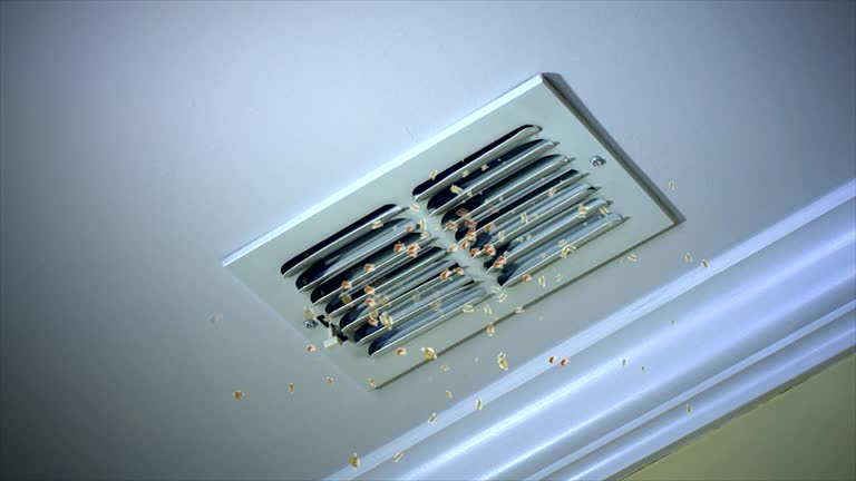 Best Affordable Air Duct Cleaning  in Burnettown, SC