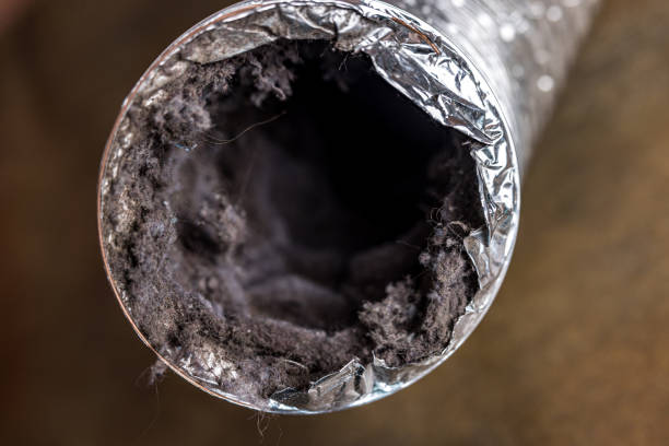 Best HVAC Maintenance and Cleaning  in Burnettown, SC