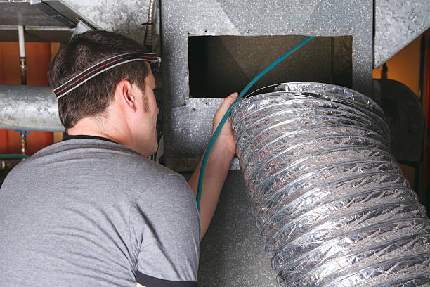Best Air Duct Mold Removal  in Burnettown, SC